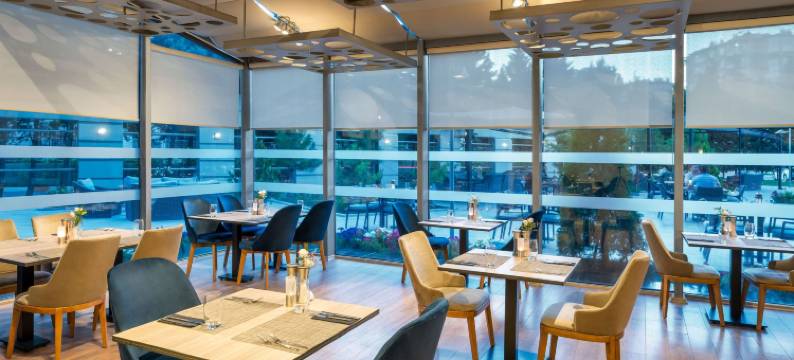 开塞利诺富特酒店(Novotel Kayseri)图片