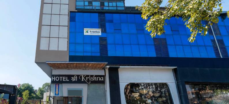 Treebo Shree Krishna Palace图片