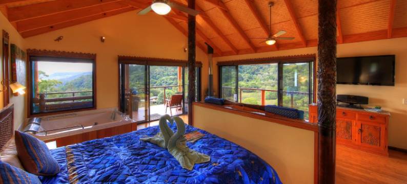 麦伦妮热带度假酒店(Maleny Tropical Retreat)图片