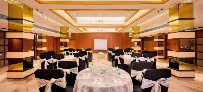 得利特萨罗瓦尔波蒂科法里达巴德(Delite Sarovar Portico Faridabad)图片