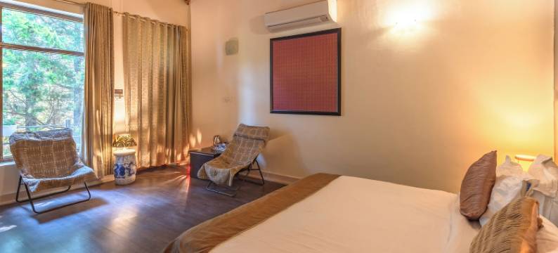 生活之树Junoon山中(Tree of Life Junoon in the Hills)图片