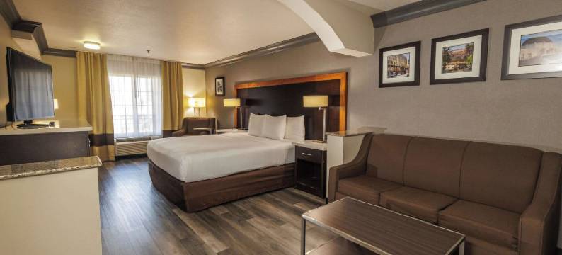 好莱坞伯班克近环球舒适套房酒店(Comfort Inn & Suites Near Universal - N Hollywood - Burbank)图片