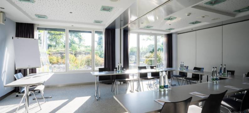 苏黎世机场丽笙酒店(Radisson Hotel Zurich Airport)图片