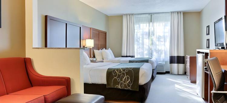 机场舒适套房酒店(Comfort Suites Airport)图片