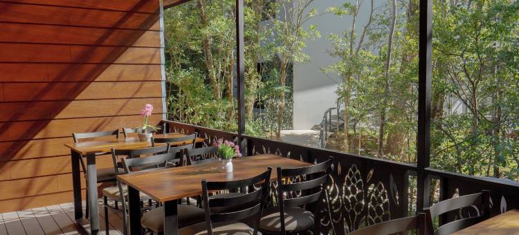 蒙特沃德卡拉提亚酒店(Calathea Lodge Monteverde)图片