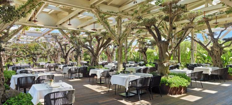 阿拉恰特比布洛斯度假村(Biblos Resort Alaçatı)图片