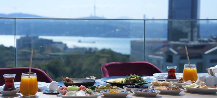伊斯坦布尔哈比耶丽笙酒店(Radisson Hotel Istanbul Harbiye)图片