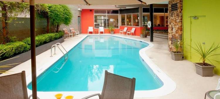 Staypineapple-大学旅馆-西雅图大学区(Staypineapple, University Inn, University District Seattle)图片
