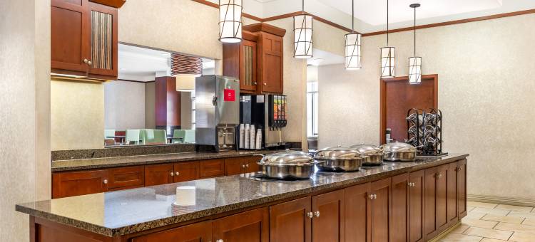圣路易斯-近森林公园德鲁里套房酒店(Drury Inn & Suites St. Louis Forest Park)图片