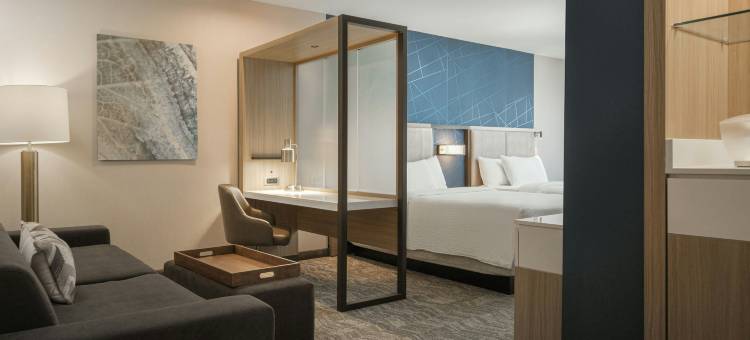 列克星敦法兰克福SpringHill Suites酒店(SpringHill Suites by Marriott Lexington Frankfort)图片