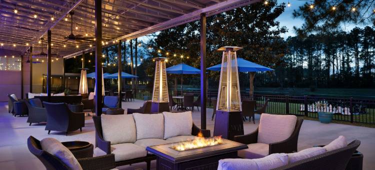 杰克逊维尔喜来登酒店(Sheraton Jacksonville Hotel)图片