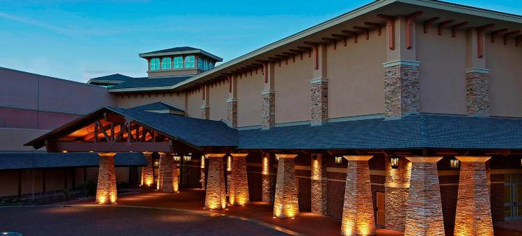 麦德威尔会议度假村及会议中心(MeadowView Conference Resort & Convention Center)图片