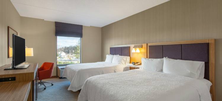 奥尔巴尼机场欢朋套房酒店(Hampton Inn & Suites Albany-Airport)图片