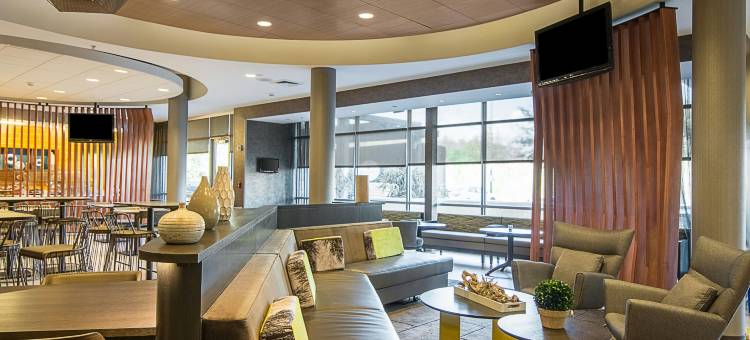 坦帕北/坦帕棕榈万豪SpringHill酒店(SpringHill Suites Tampa North/I-75 Tampa Palms)图片