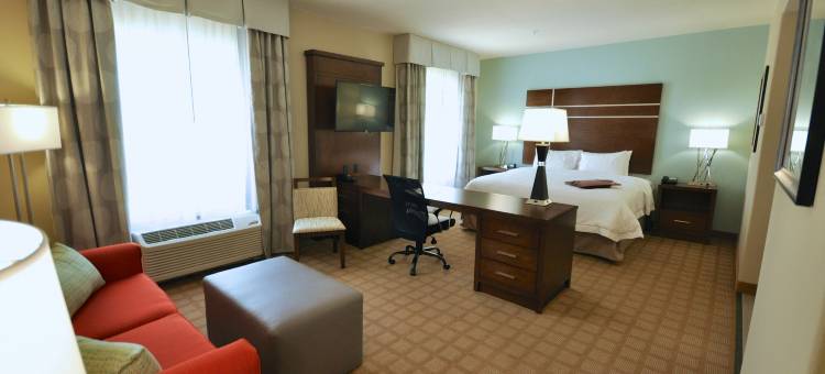 哈托欢朋酒店(Hampton Inn & Suites by Hilton Hutto Austin)图片