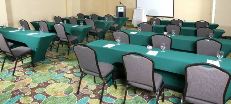 Holiday Inn 韦斯特伯里长岛(Holiday Inn WESTBURY-LONG ISLAND by IHG)图片