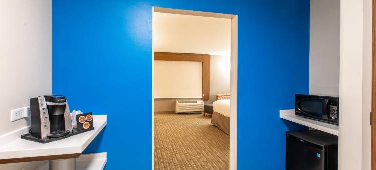 格林维尔南-皮埃蒙特智选假日套房酒店(Holiday Inn Express & Suites Greenville S - Piedmont)图片