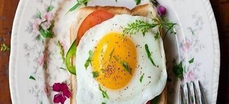 The Opulent奢华度假酒店和会议(The Opulent Hotel Murree)图片