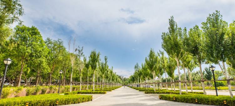 幸福花开客栈(承德文园狮子林店)图片
