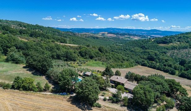 Poggio le Martore 14 Hotel Overview