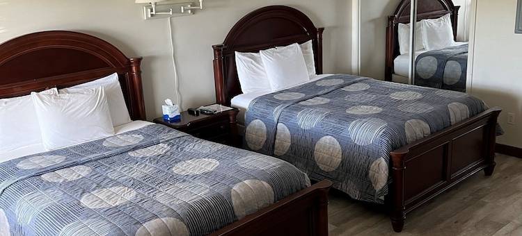岸上长住型套房(Shore Stay Suites)图片