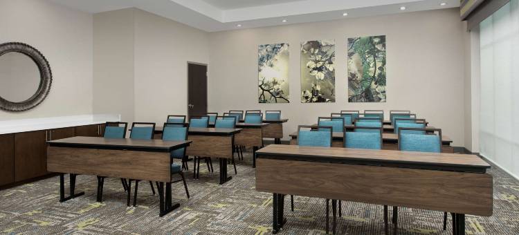 夏洛特机场普安特湖欢朋套房酒店(Hampton Inn & Suites Charlotte Airport Lake Pointe)图片