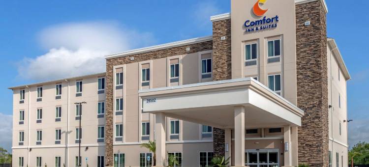 舒适套房酒店(Comfort Inn & Suites)图片