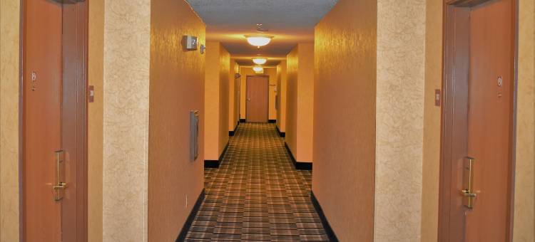 西尔弗索恩- 铜山品质酒店和套房(Quality Inn & Suites Silverthorne - Copper Mountain)图片