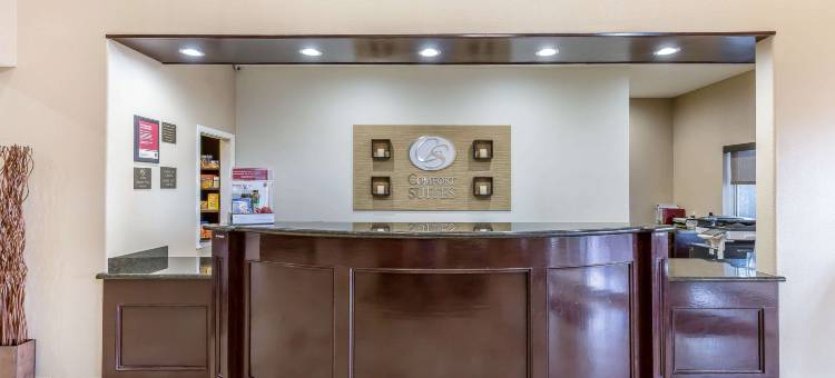 休斯顿IAH机场环城公路8舒适套房酒店(Comfort Suites Houston IAH Airport - Beltway 8)图片