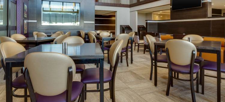 奥佛兰公园德鲁里套房酒店(Drury Inn & Suites Overland Park)图片