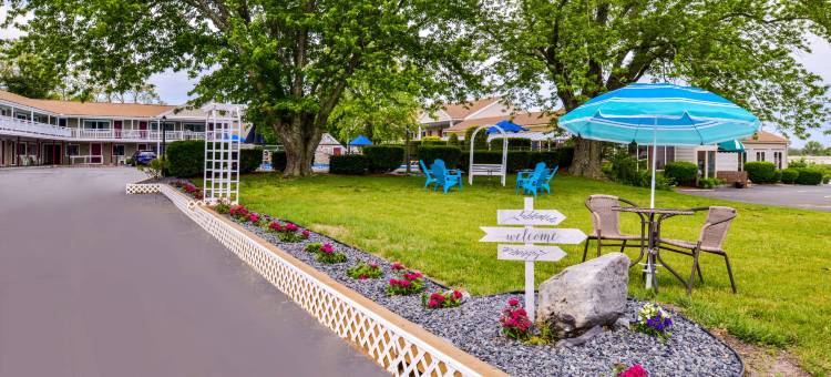 奥尔良科德角罗德威酒店(Rodeway Inn Orleans - Cape Cod)图片