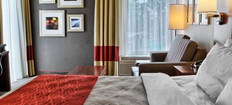 路斯格兰帝王之城附近舒适酒店(Comfort Inn Ruther Glen Near Kings Dominion)图片