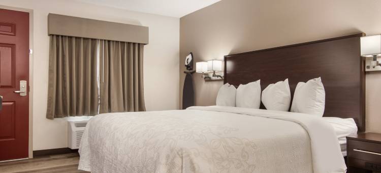 伊利红屋顶普拉斯套房酒店(Red Roof Inn Plus & Suites Erie)图片