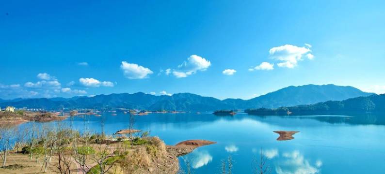 房东天天度假别墅(青溪大道分店)图片