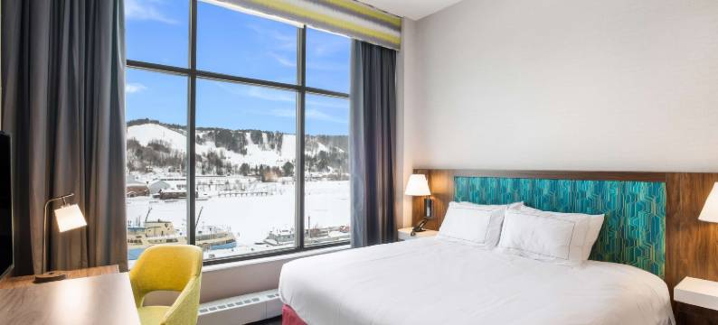 霍顿汉普顿套房酒店(Hampton Inn & Suites by Hilton Houghton)图片