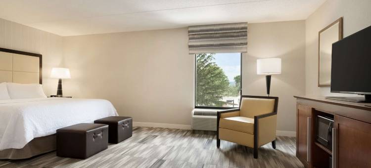 希尔顿欢朋酒店-利哈伊顿詹姆索普(Hampton Inn Lehighton-Jim Thorpe)图片
