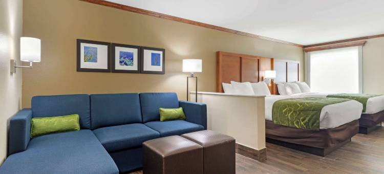 韦斯特门罗舒适套房酒店-近艾克汉密尔顿博览中心(Comfort Suites West Monroe Near Ike Hamilton Expo Center)图片