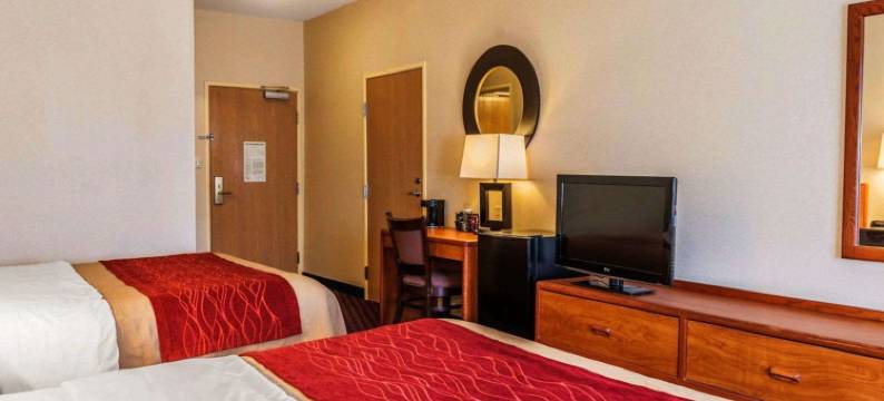 雅芳-印第安纳波利斯西舒适酒店(Comfort Inn Avon-Indianapolis West)图片