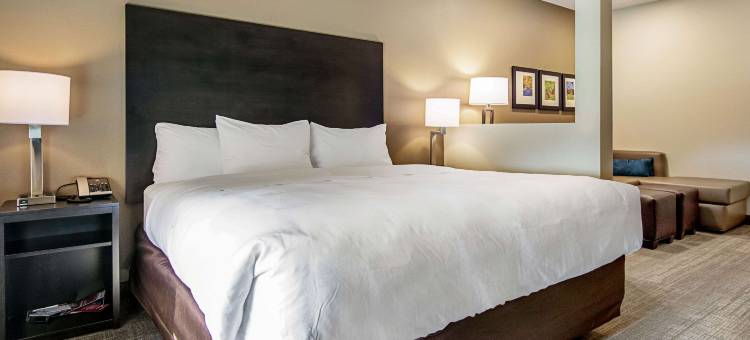 大学校园附近的伍斯特舒适套房酒店(Comfort Suites Wooster Near University Campus)图片