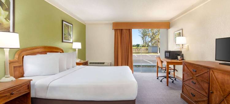 代托纳比奇/国际高速公路温德姆呗盟酒店(Baymont by Wyndham Daytona Beach/Intl Speedway)图片