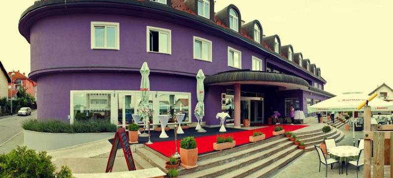 凤凰酒店(Hotel Phoenix)图片