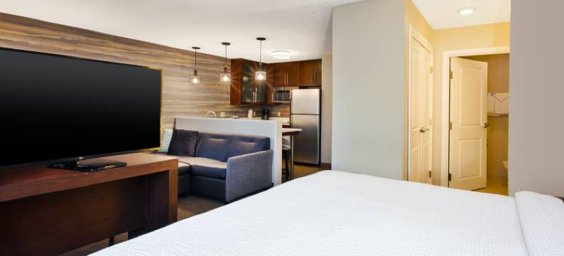 北安阿伯万豪 Residence Inn 酒店(Residence Inn Ann Arbor North)图片