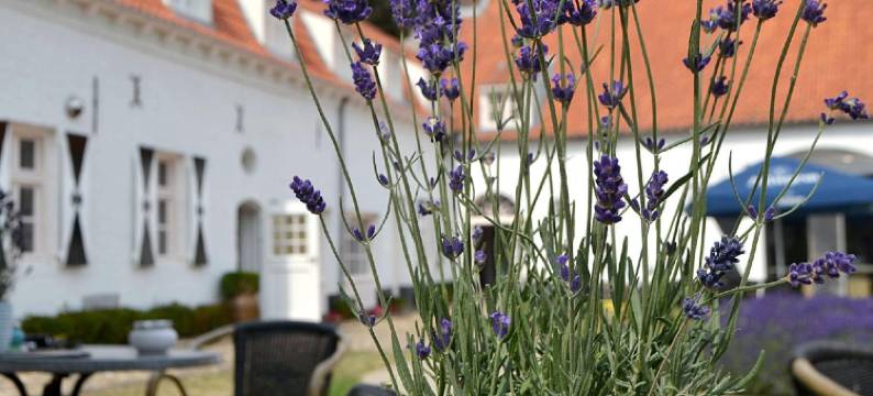 Kasteel Aldenghoor图片