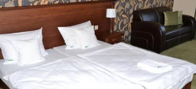 缅济热奇尼欧酒店(Hotel Neo Międzyrzecz)图片