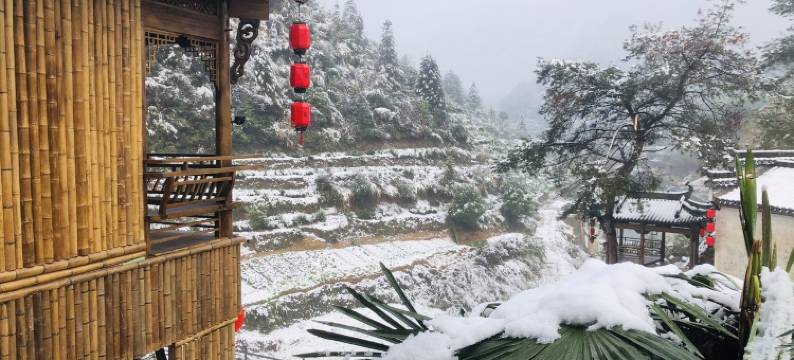 罗家寨老罗特色民宿图片