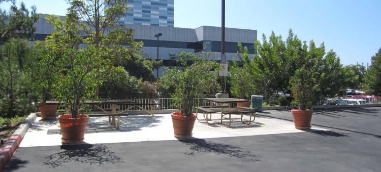 Extended Stay America Suites - 洛杉矶 - LAX机场 - 埃尔塞贡多(Extended Stay America Suites - Los Angeles - LAX Airport - El Segundo)图片