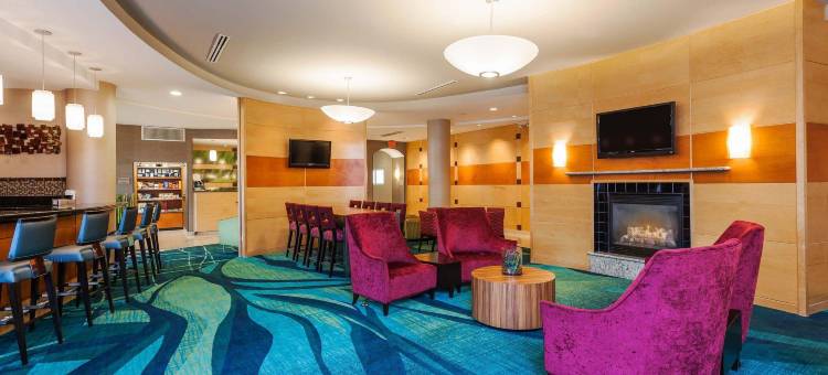 夏洛特诺曼湖/莫尔斯威尔 SpringHill Suites 酒店(SpringHill Suites Charlotte Lake Norman/Mooresville)图片