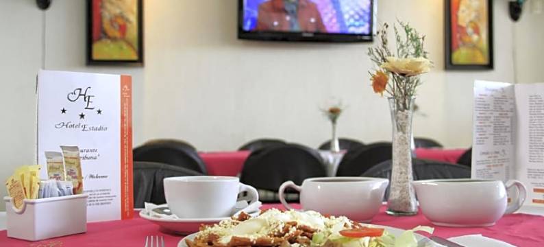 艾斯塔迪奥酒店(Hotel Estadio)图片