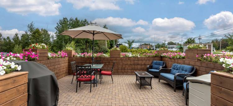 鲟鱼瀑布舒适酒店(Comfort Inn)图片