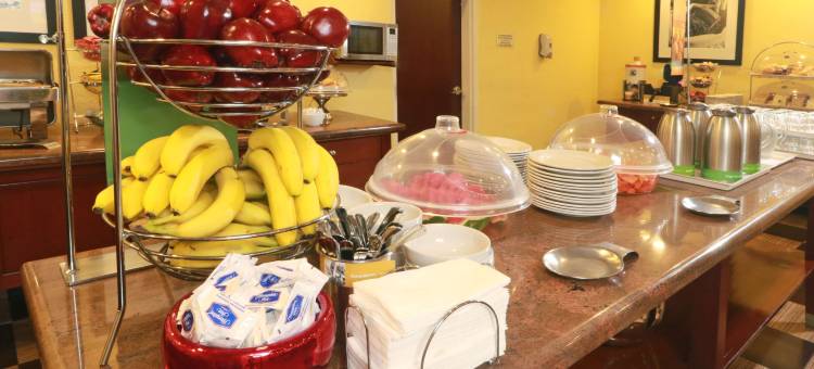 瓜达拉哈拉希尔顿欢朋酒店(Hampton Inn by Hilton Guadalajara - Airport)图片